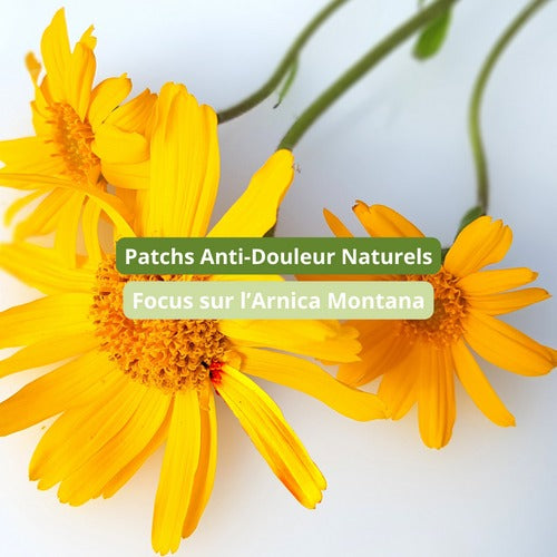 Arnica Montana