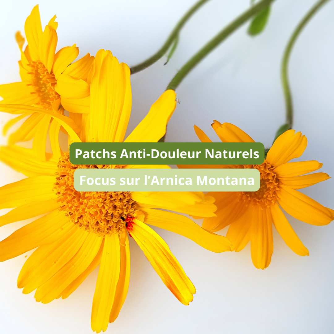 Patchs Anti-douleur Naturels : Focus sur l'Arnica Montana