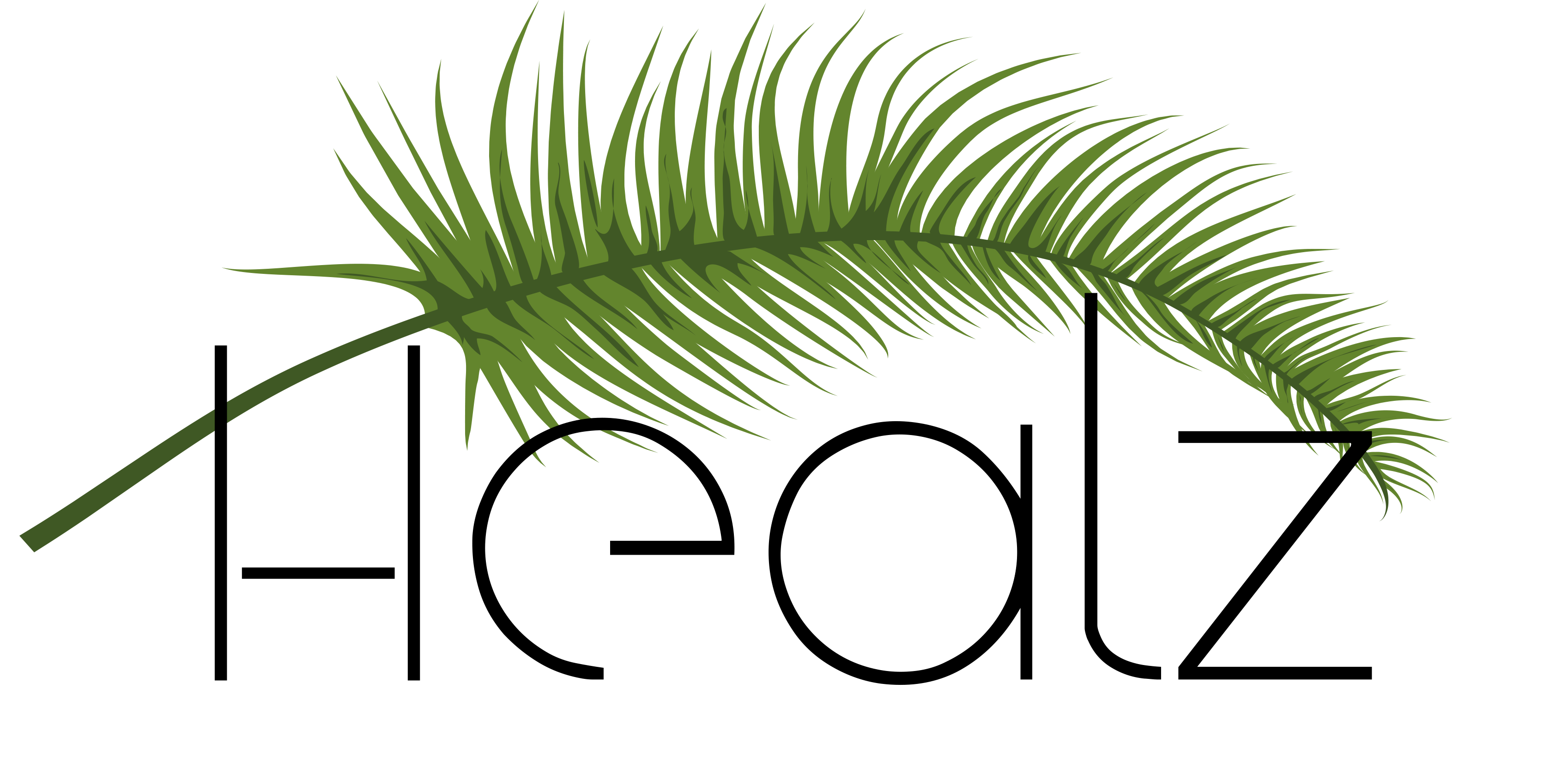 Logo de la marque Healz, une typo épuré avec une branche de fougères dessus